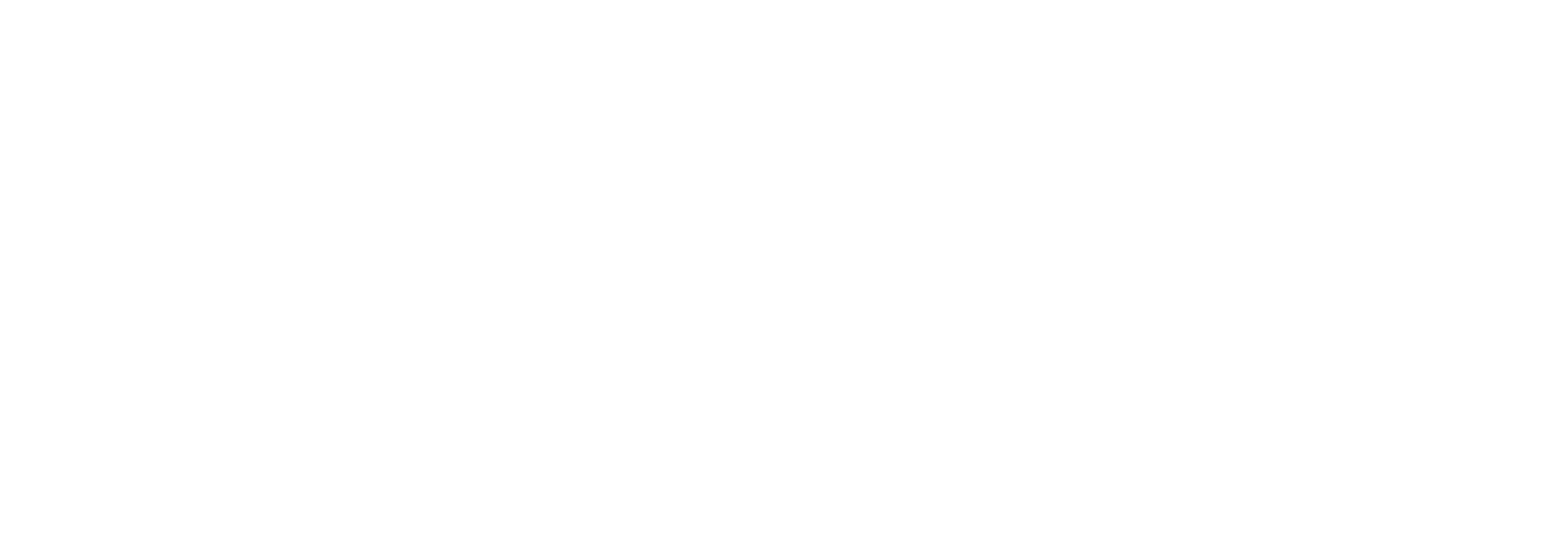 PREMIUM CLASS